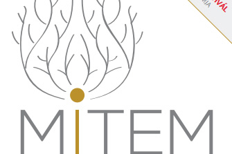 MITEM - PROGRAM