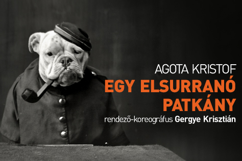 Egy elsurranó patkány