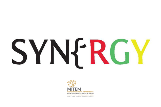 NEXT DOOR TO HOME - SYNERGY World Theatre Festival - Roundtable Discussion