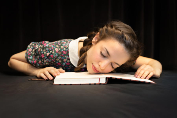 Anne Franks' Diary 2025