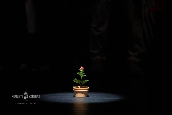 Candide