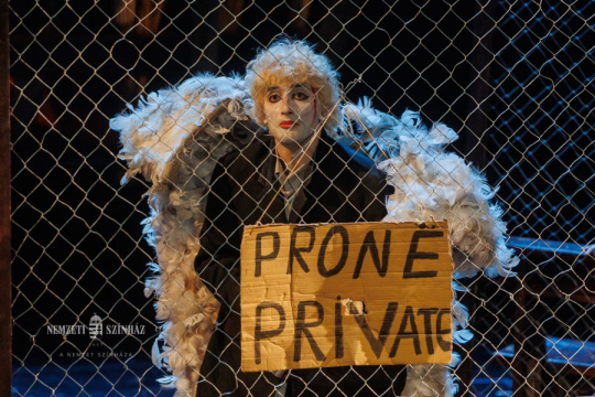 Angyalkártya – Sardegna Teatro, Cagliari, Olaszország és Teatro Migjeni Shkoder, Tirana, Albánia: A látogatás