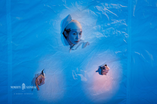 Mesterfogások – I.L. Caragiale Nemzeti Színház, Bukarest: Gertrud; Radu Stanca Nemzeti Színház és Tokyo Metropolitan Színház: Jónás