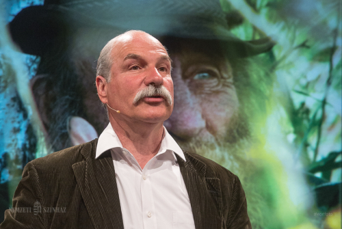 God's jester God's jester