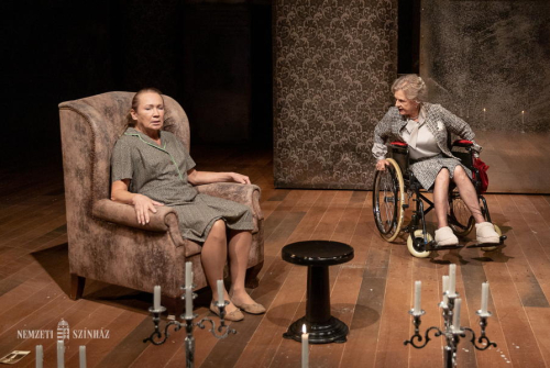 Cat's Play Cat's Play