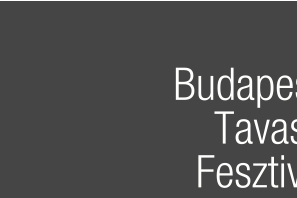 Nemzetközi Színházi Fesztivál 2010