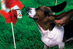 Nemzeti Színház - Nyílt nap