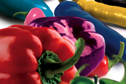 Várjuk a Nemzetinél! – Nyílt nap szeptember 19-én