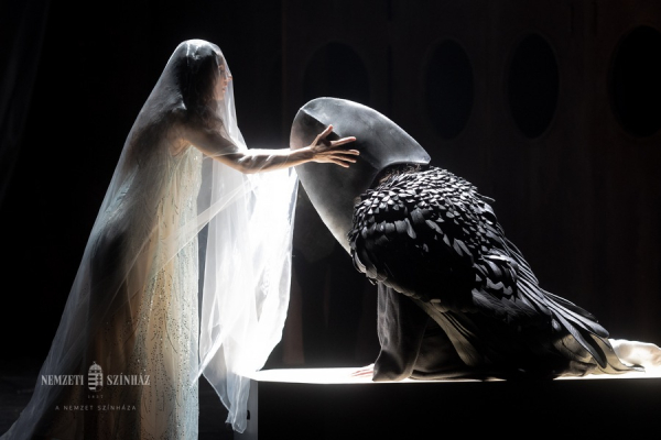 SALOME - spot