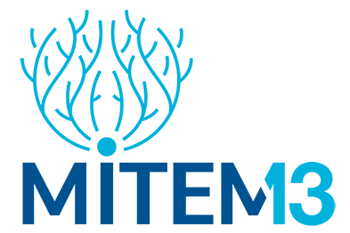 Madách Nemzetközi Színházi Találkozó